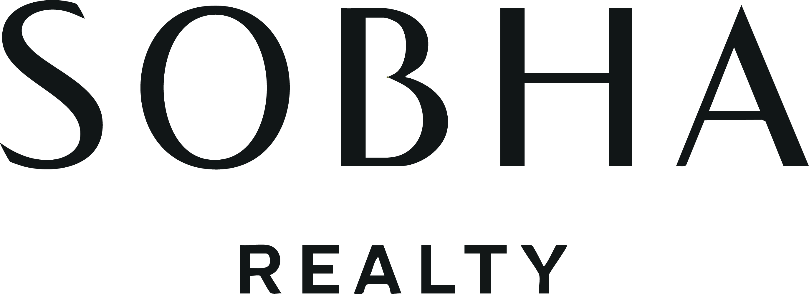 Developer